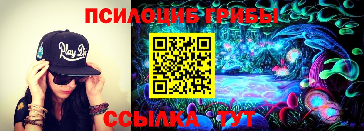 Псилоцибиновые грибы GOLDEN TEACHER  Вход с VPN  Ржев 